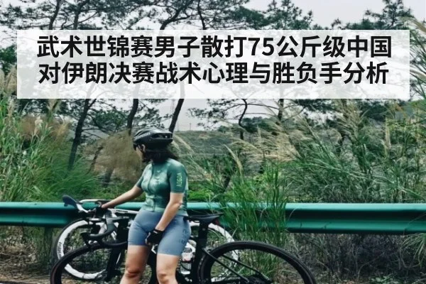 武术世锦赛男子散打75公斤级中国对伊朗决赛战术心理与胜负手分析